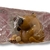 Imagen de Pack 16U Squishy Capibara Antiestrés 6Cm Modelos Surtidos (S)