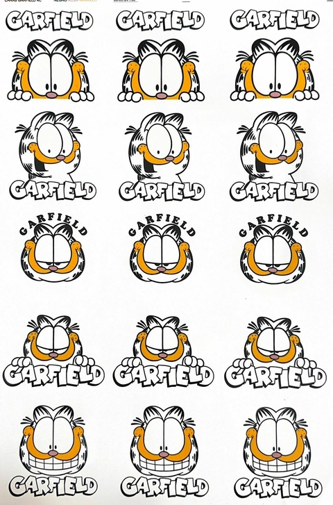 Garfield CARAS ART.12