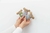 Kit raton perez - comprar online