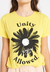 REMERA DAISY - comprar online