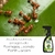Formicida Forth Mata Formiga Pronto Uso 500ml Para Plantas na internet