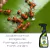 Formicida Forth Mata Formiga Pronto Uso 500ml Para Plantas na internet