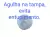 Kit 6x Colas Adesivo Instantâneo Cb 01 Ciabond 20g na internet