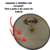 Pele Cuica 6 Couro Cabra Contemporanea Com Cambito - comprar online