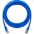 Cabo Internet PC/Notebook De Rede Cat6e Ftp 5M Blindado - loja online