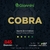 Encordoamento Para Baixolão 5 Cordas 045 GIANNINI GEEBASF5