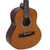 Cavaco Giannini Cavaquinho Elétrico Passivo Cs-14 Ep Ns na internet