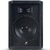 Caixa De Som Passiva Newvox Opus 10 200WRMS Igreja/Eventos