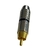 PLUG RCA PROFISSIONAL ESTRIADO PONTA DOURADA MXT - loja online