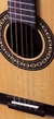 Viola Rv151atn Rozini Ativo Elétrico - loja online