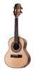 Cavaquinho Rozini Show Elétrico Maciço E Pré Fishman Brindes - comprar online