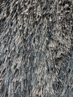 Buxa