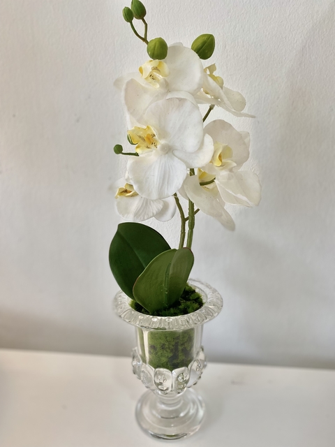 Orquídea en vidrio