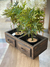 Cajon de madera - comprar online