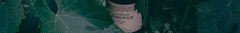 Banner de la categoría Familia Adrover