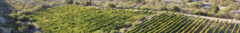Banner de la categoría Altos La Ciénaga