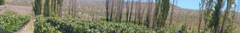 Banner de la categoría La Fortuna