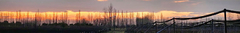 Banner de la categoría Domina Spell