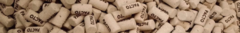 Banner de la categoría Pacto Wines