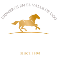 Marca 16 de EL REFUGIO DEL VINO | Vinoteca