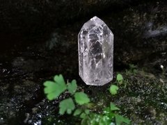 Ponta de cristal estrelado 