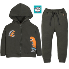 Campera y Pantalon Dino Skate en internet