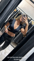 TOP AGUSTINA - comprar online