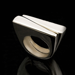 Anillo de plata Birld
