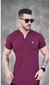 Camiseta Europa Ziper - Bordo