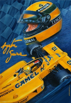 Ayrton Senna 11 en internet