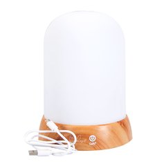 LUMINARIA LED - SIMPLES