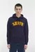BUZO LEVI'S GRAPHIC PO HOODIE LEVIS X (19622)