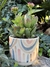 Maceta Zippa Vintage - comprar online