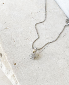 Collar - comprar online