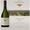 Corazón del Sol Luminoso RMVG Blend de Blancas 2019