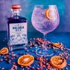 GIN MALARIA