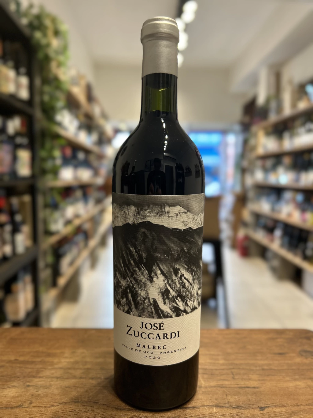 JOSÉ ZUCCARDI