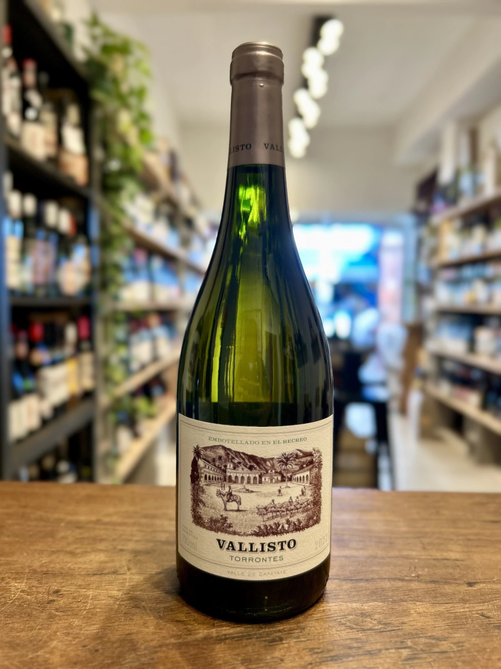VALLISTO TORRONTÉS