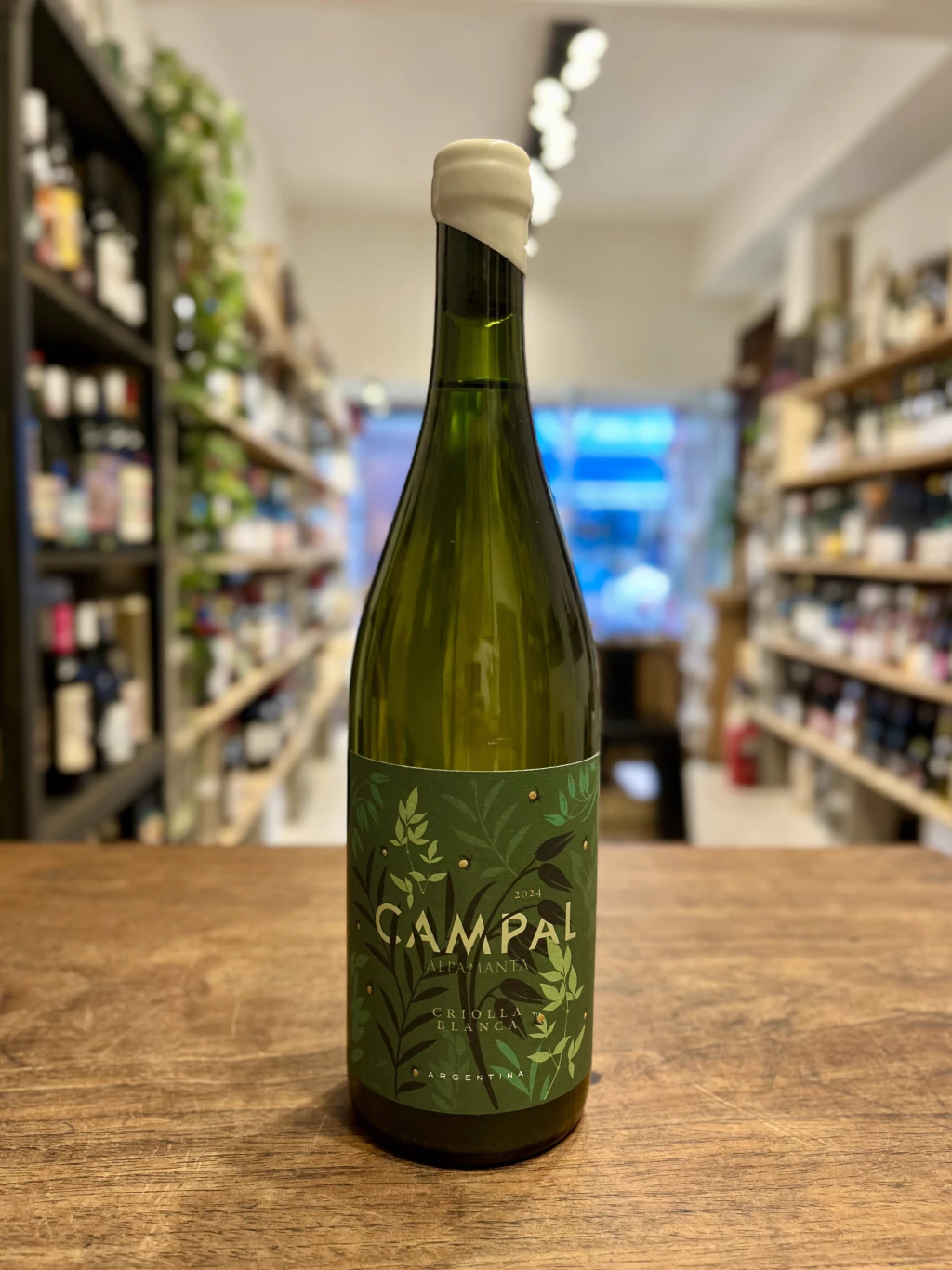 CAMPAL CRIOLLA BLANCA - PEDRO XIMENEZ