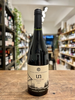 UN PINOT NOIR RESERVA - comprar online