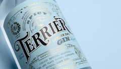 Terrier Gin - SPICY