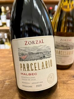 ZORZAL PARCELARIO en internet