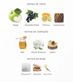 OH HONEY! | PERFUME ÀRABE MAISON ASRAR - NAH PERFUMARIA