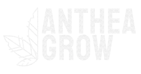 Anthea Grow