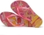 Chinelo Havaianas Kids Slim - Princesa Aurora na internet