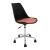 Tulip Negra - tienda online