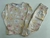 Pijama térmico 11749