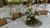 EVENTOS Y REUNIONES