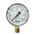 MANOMETRO 0-30KG 1/4NPT - 2.1/2 ACE-A (16904)