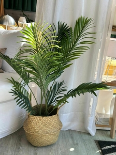 PLANTA ARTIFICIAL en internet